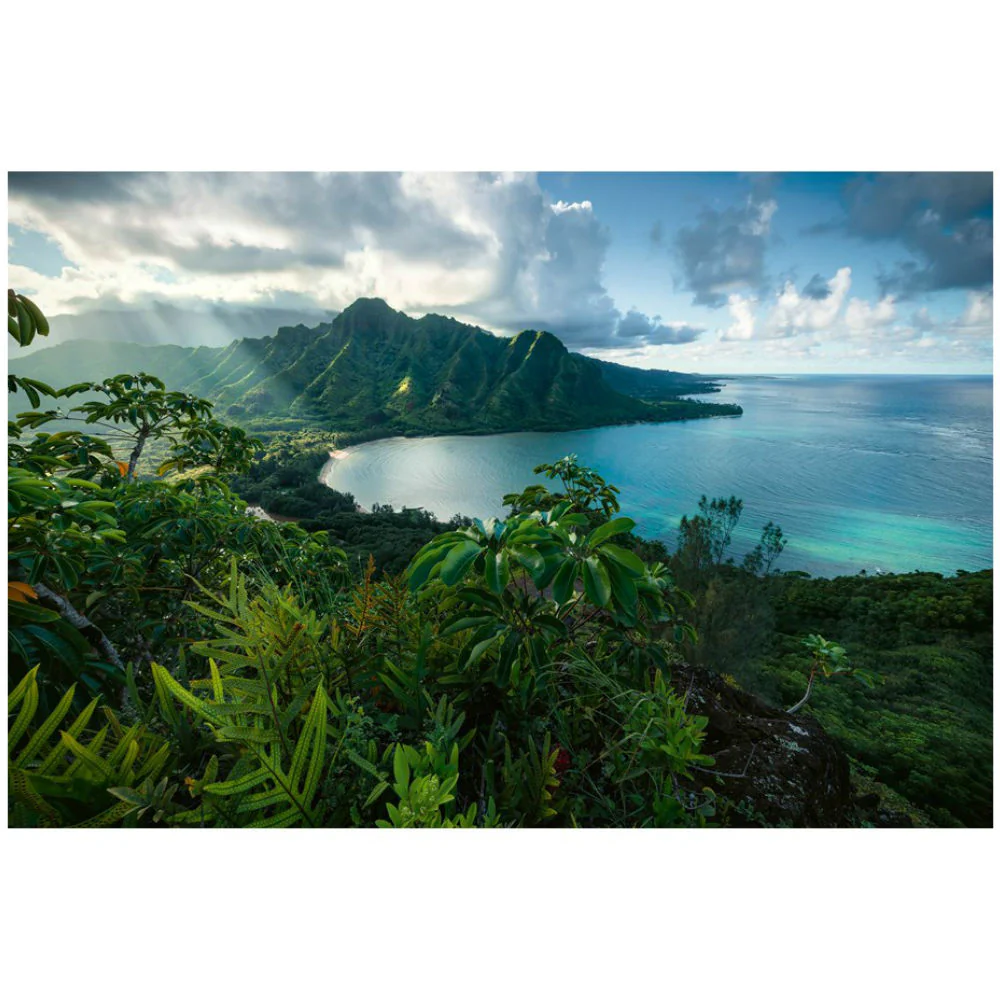Hawaiian Viewpoint - 5000 brikker - Image 2