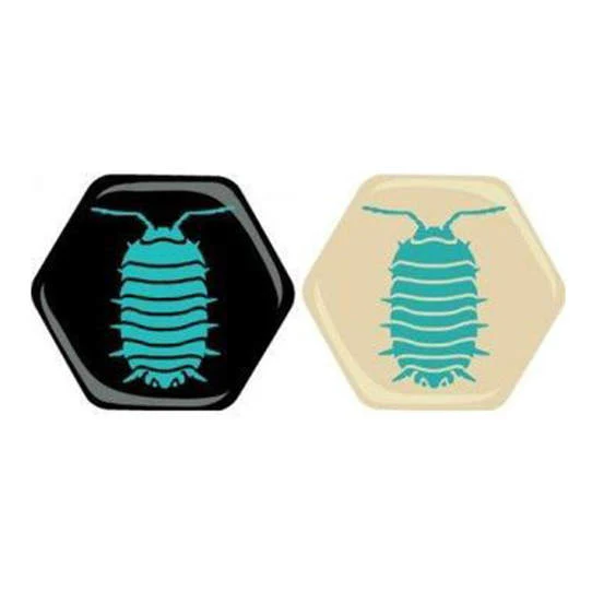 Hive Pocket: Pillbug
