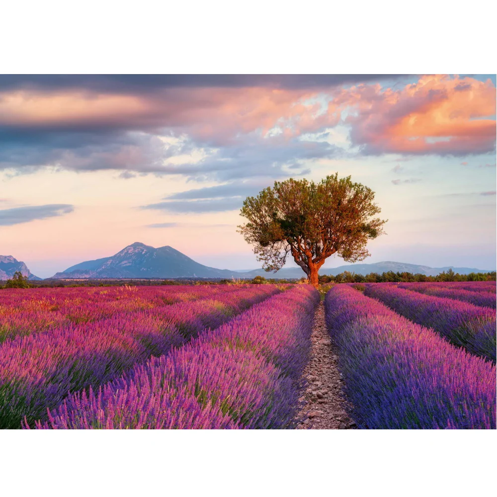 Lavender Fields - 1000 brikker - Image 2