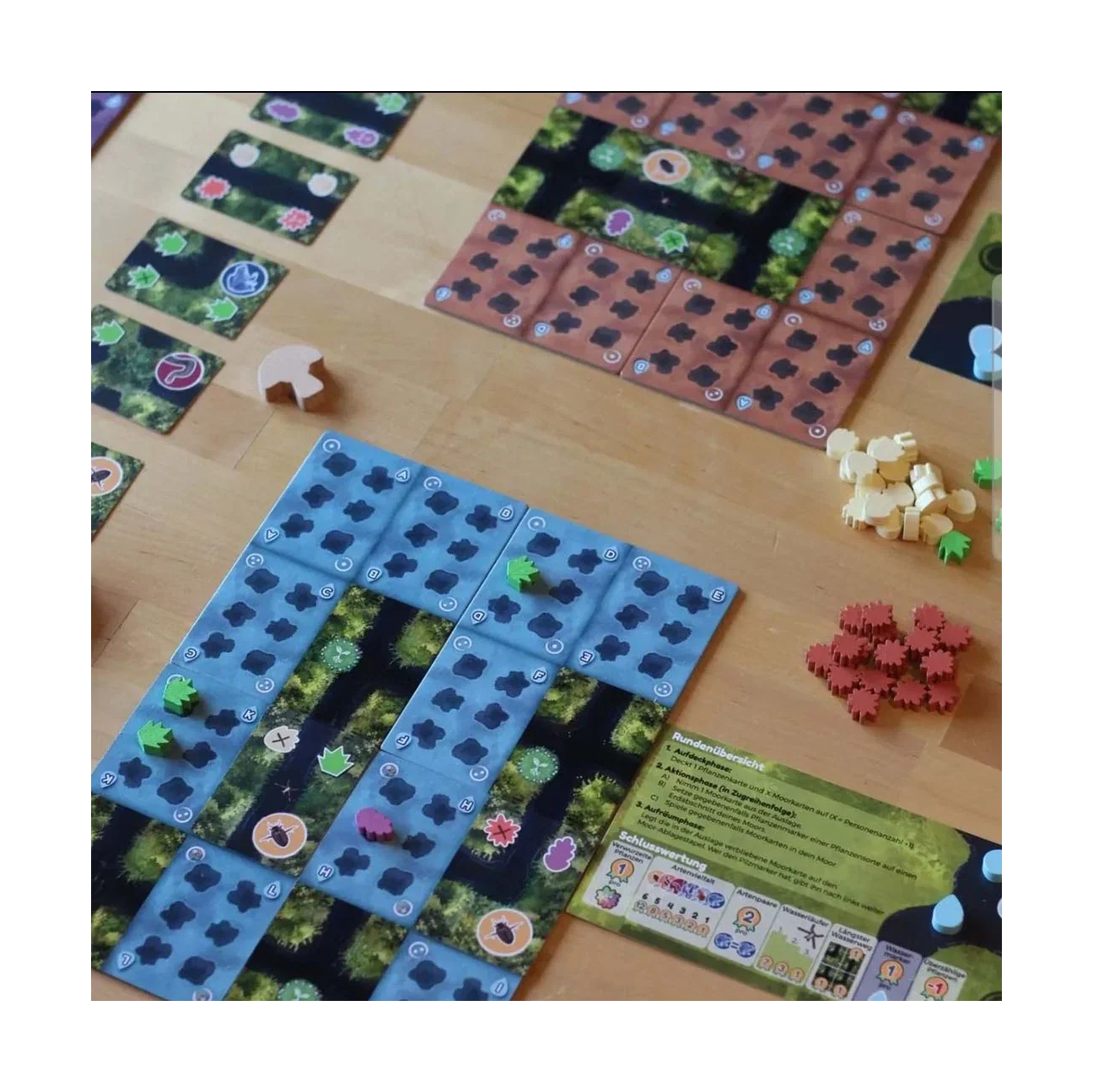 MOORLAND - Image 2
