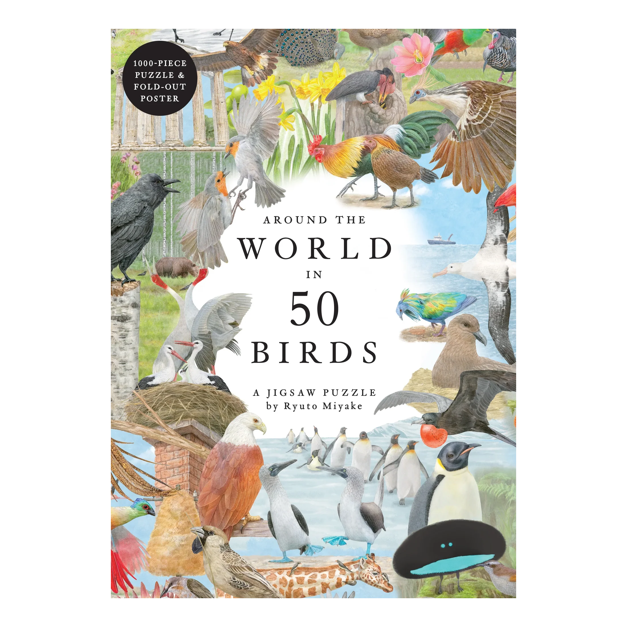Around the World in 50 Birds - 1000 brikker