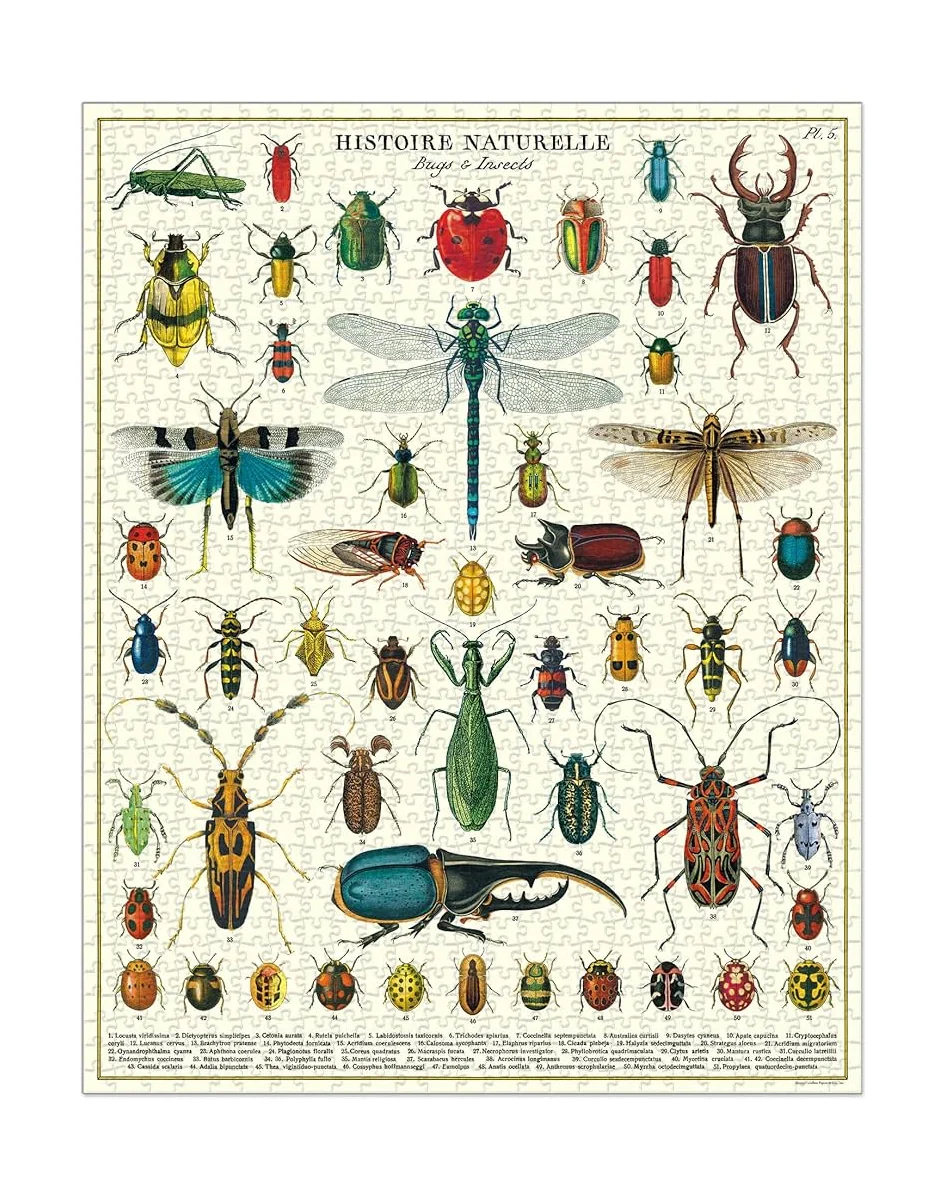 Bugs and Insects - 1000 brikker - Image 2