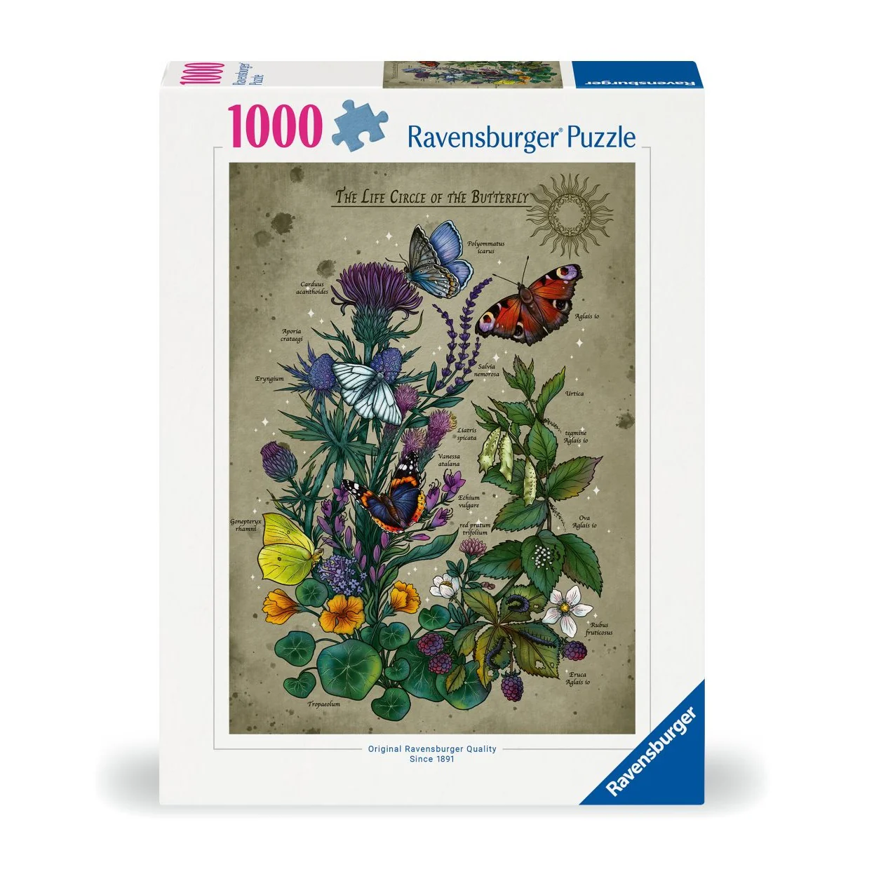 Lifecircle Butterfly - 1000 Brikker