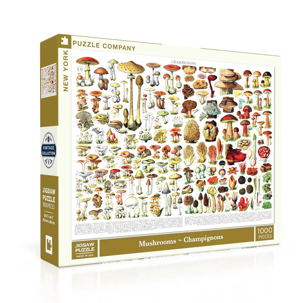 Mushrooms Champignons - 1000 Brikker