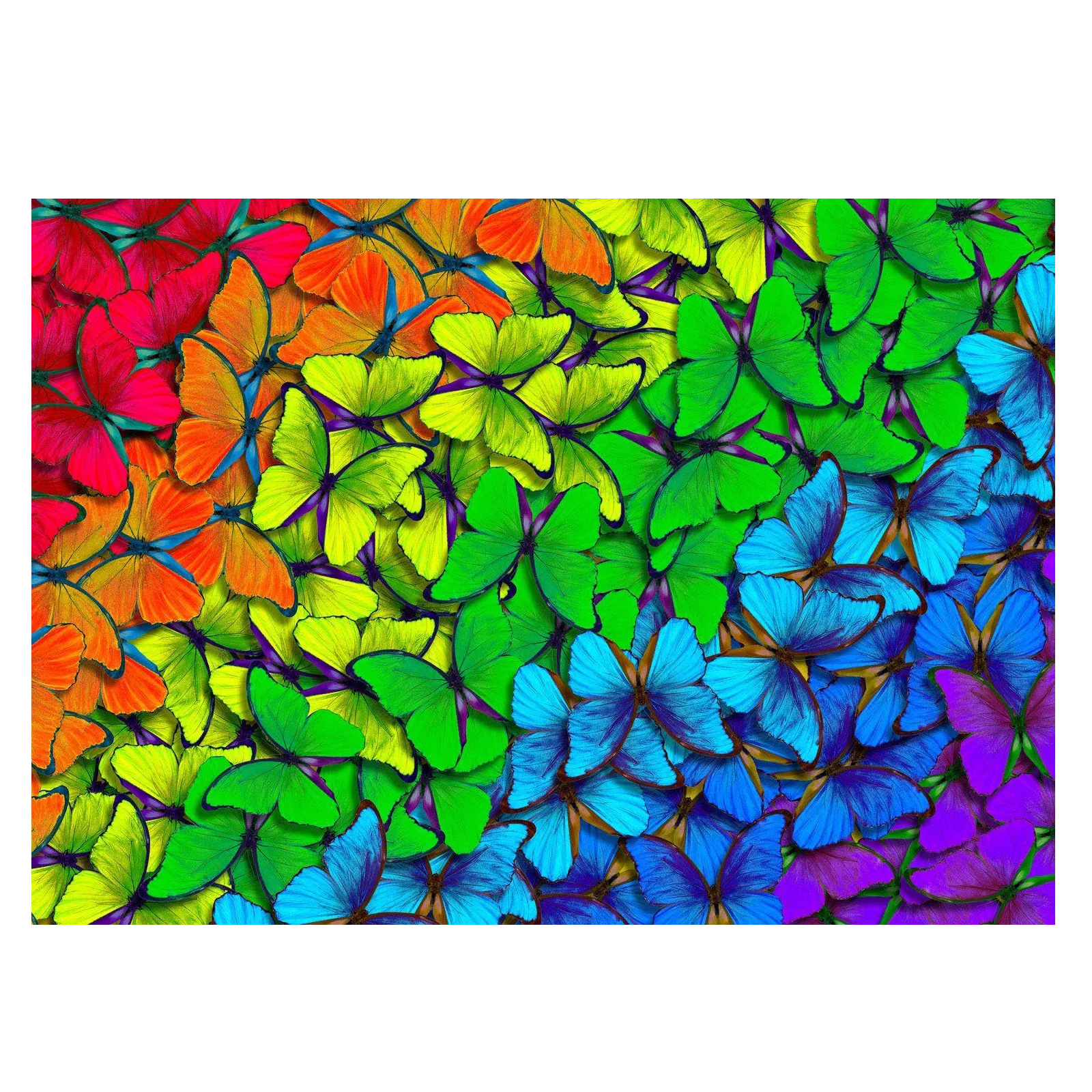 Rainbow Butterflies - 1000 brikker - Image 2
