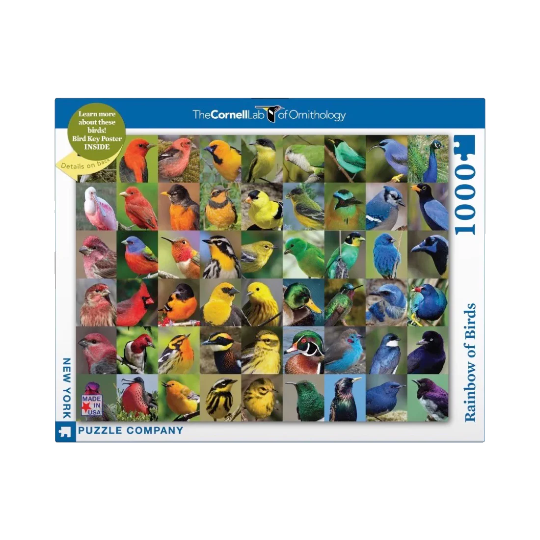 Rainbow of Birds - 1000 brikker