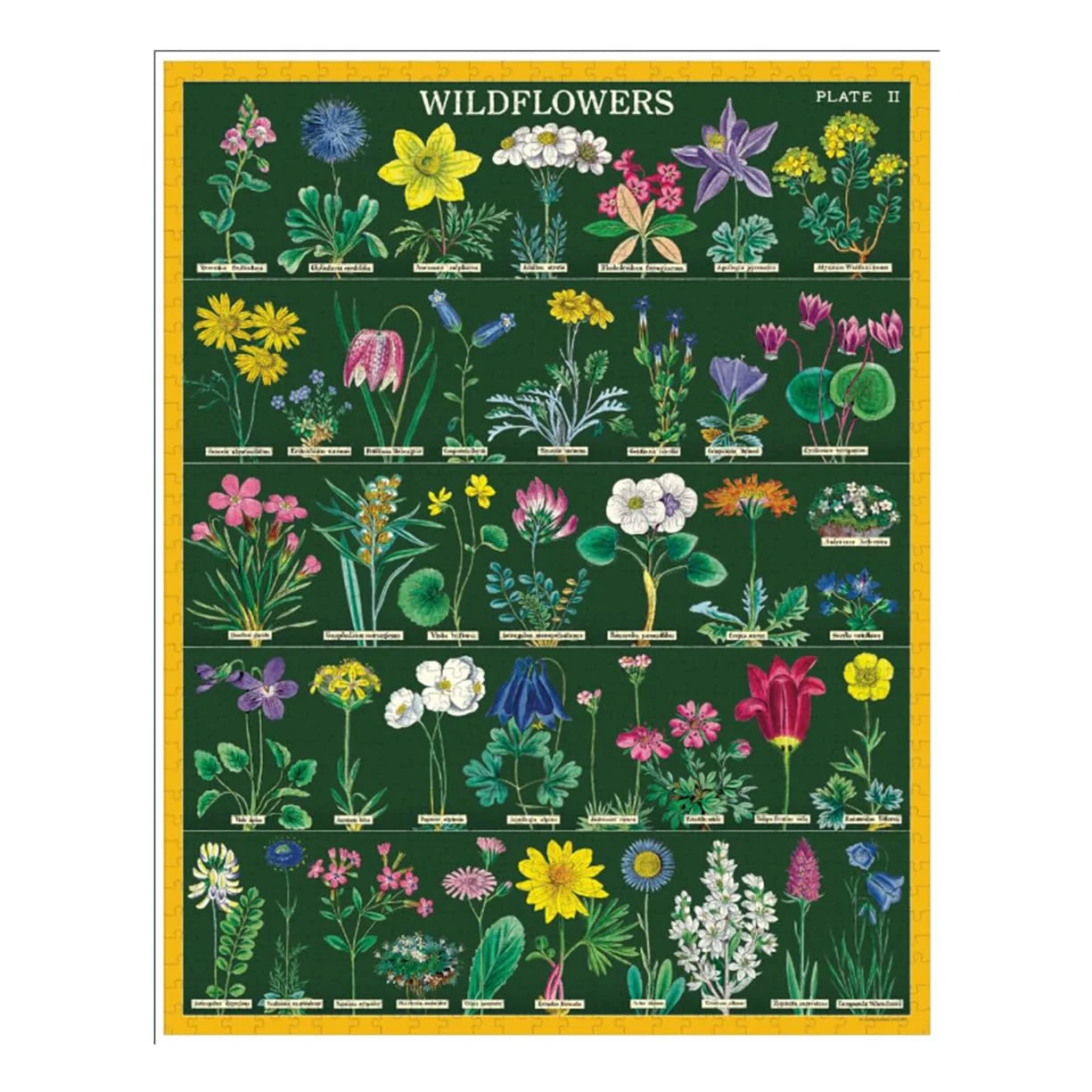 Wildflowers 2 Cavallini - 1000 brikker - Image 2