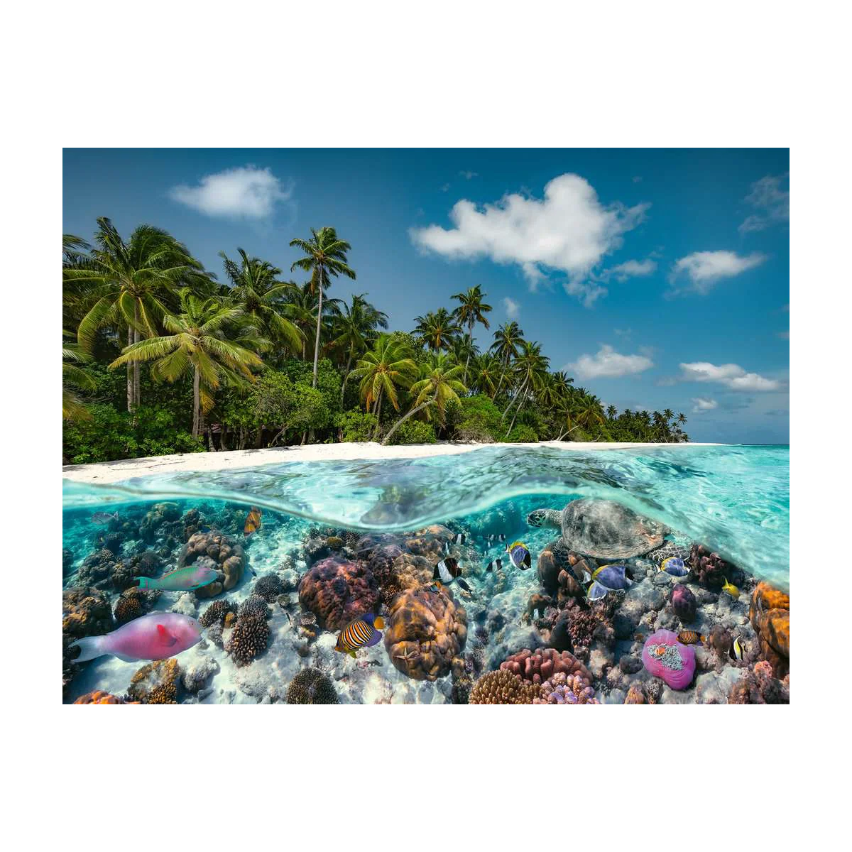 A Dive in the Maldives - 2000 brikker - Image 2