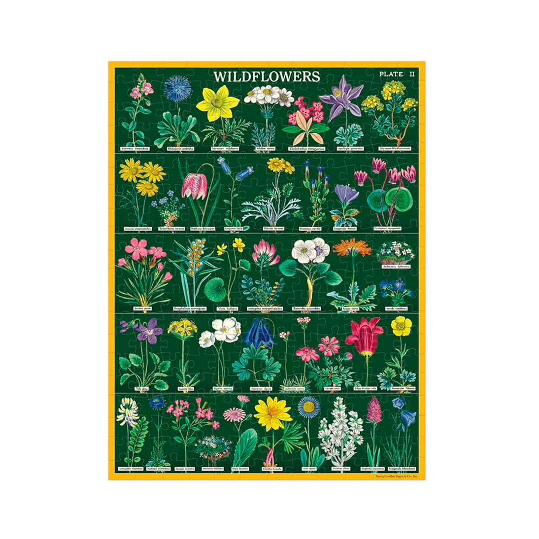 Wildflowers Cavallini - 240 brikker - Image 2