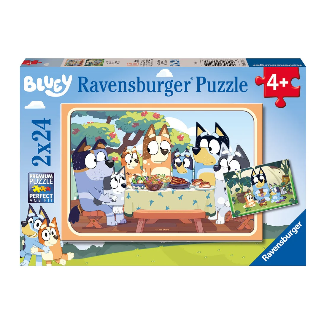 Bluey Lets Do This - 2X24 Brikker