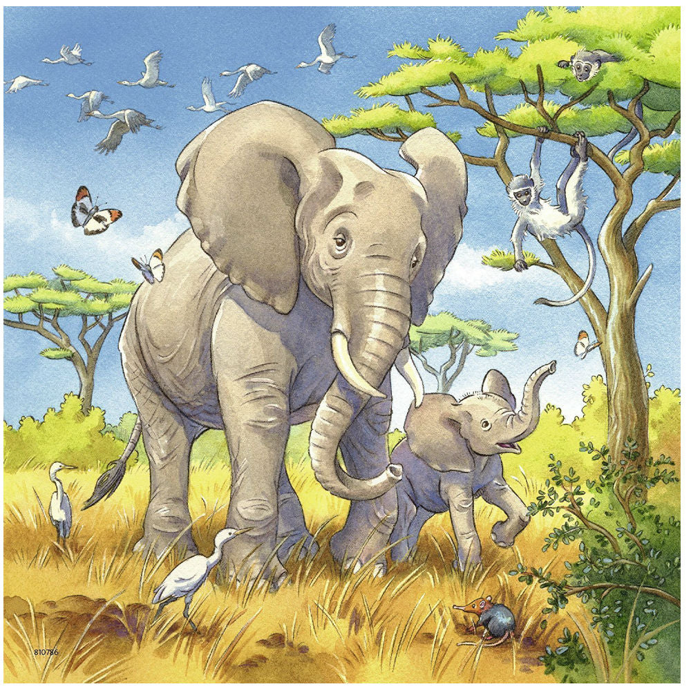 Wild animals - 3 x 49 brikker - Image 3